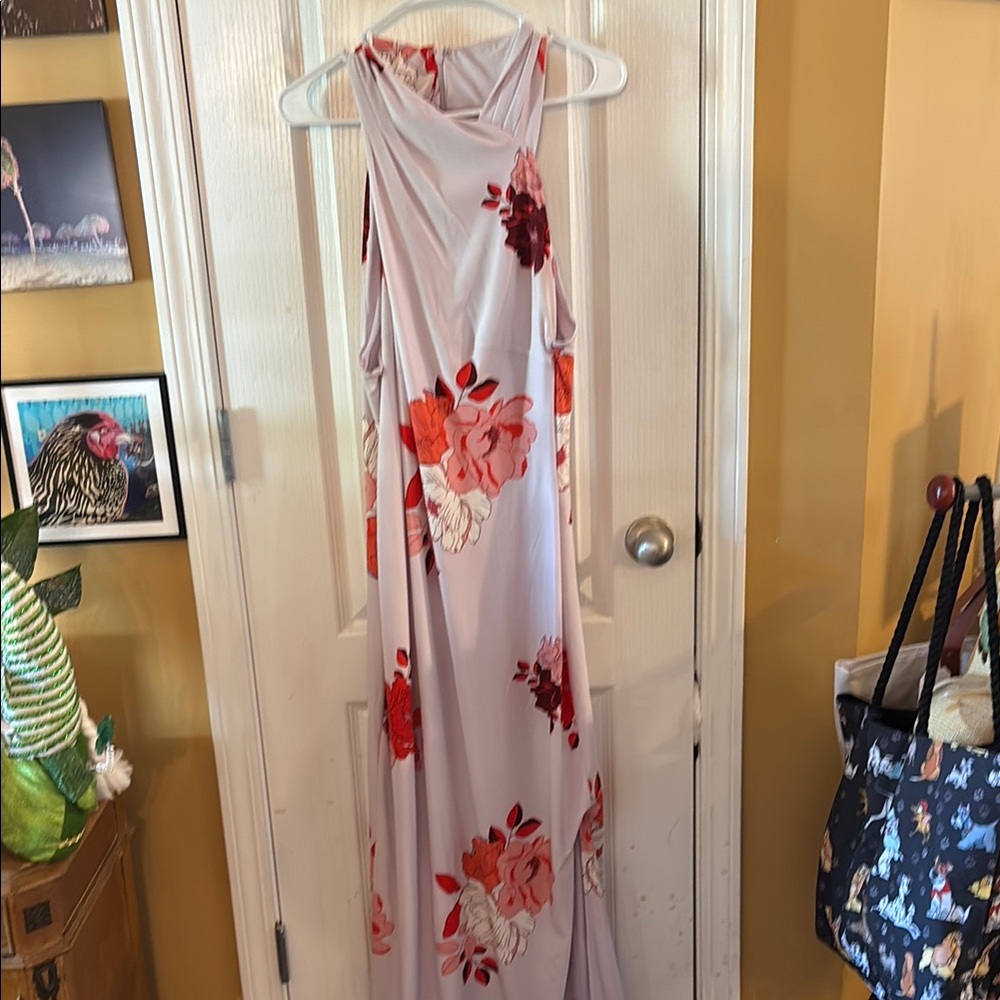 Rachel Roy XL Floral Sleeveless Maxi Dress - Pink and Red, dress up or down